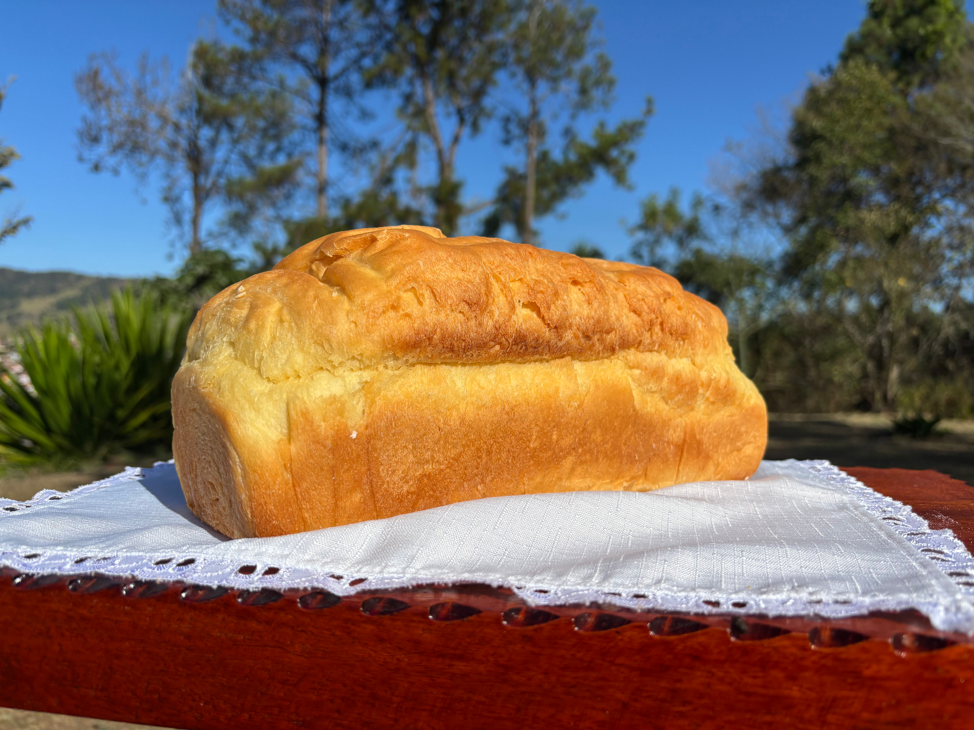 Pão tradicional